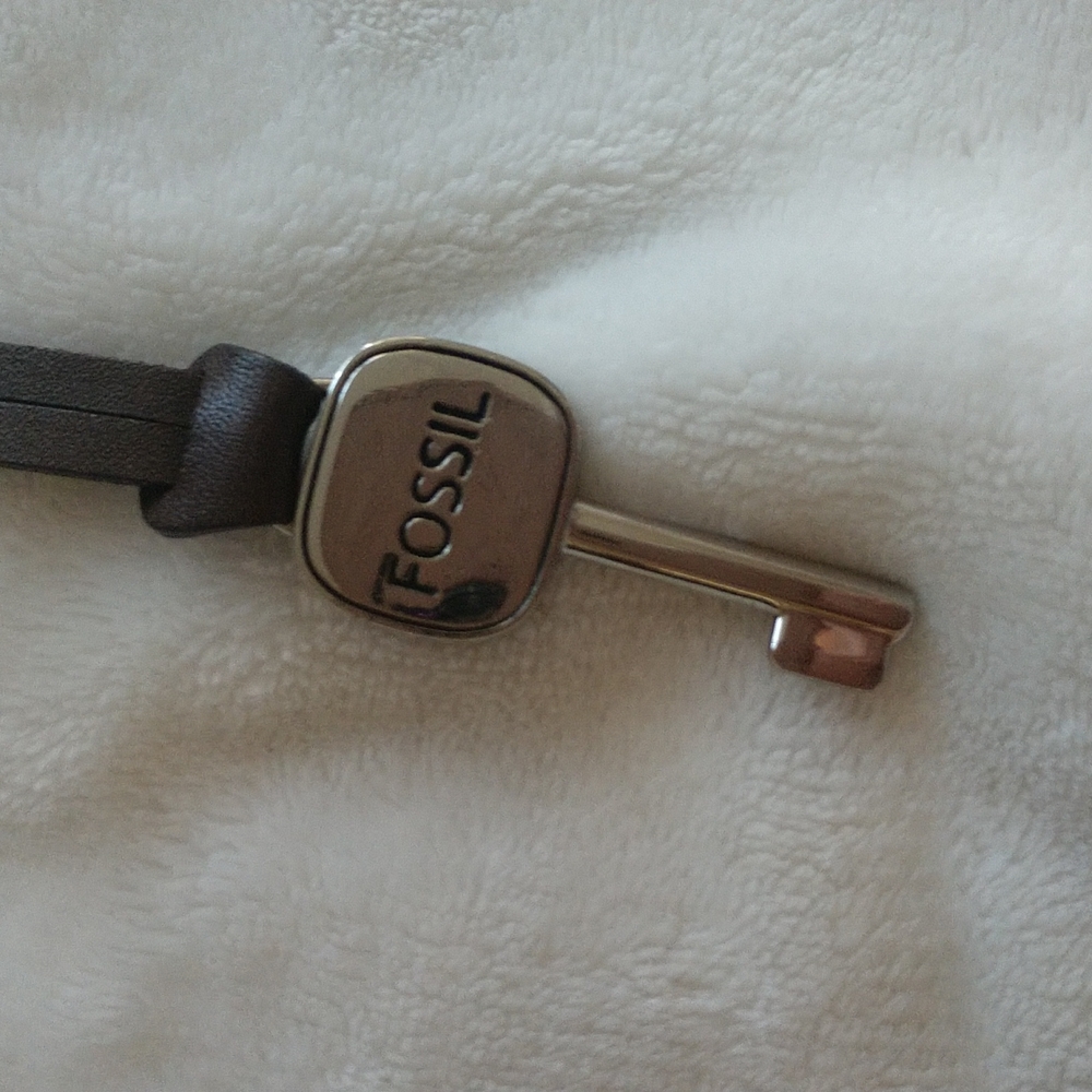Fossil Key - Picture 2 of 4